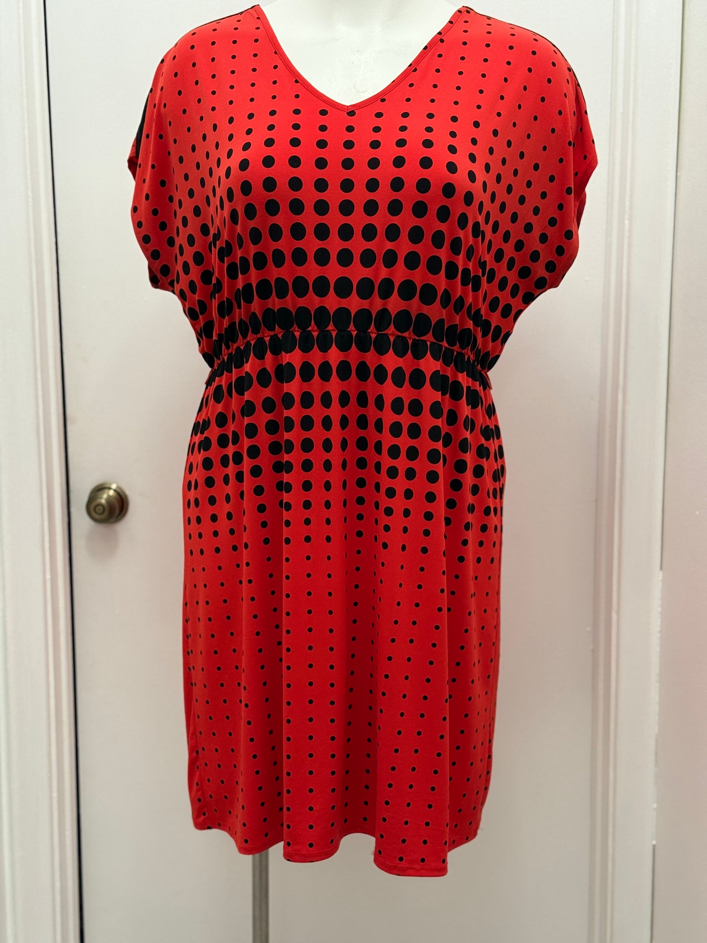 #68 polka dot dress
