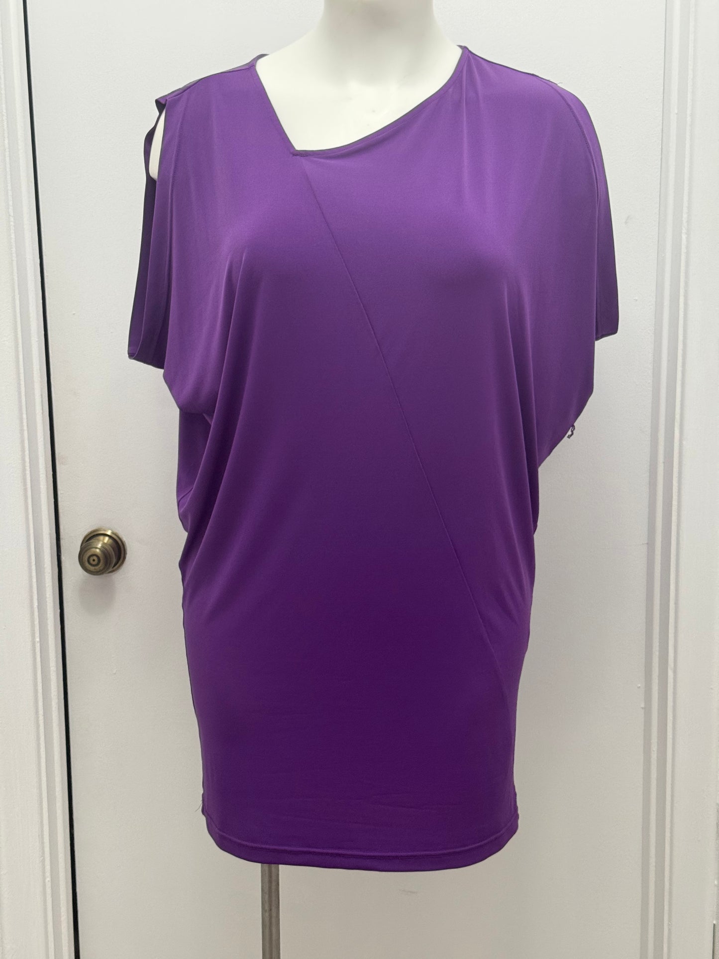 Purple Passion Dress