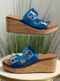 #215 Blue Clear Double Buckle Wedge Sandals 🚨sizedown