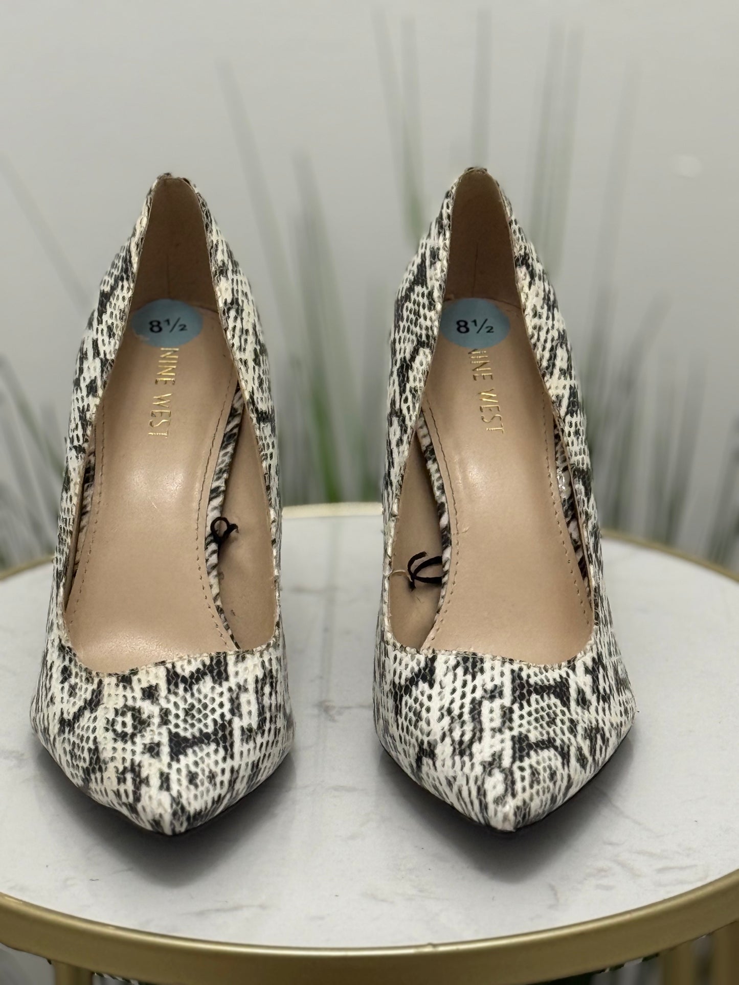 #331 Reptile Pumps