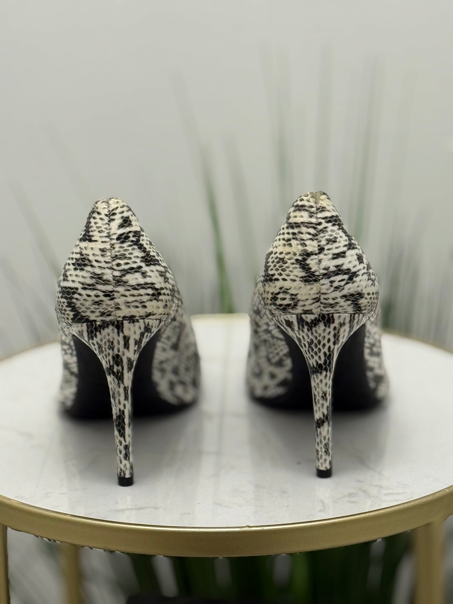 #331 Reptile Pumps