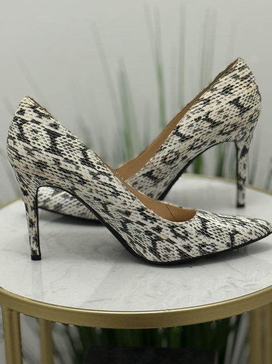 #331 Reptile Pumps