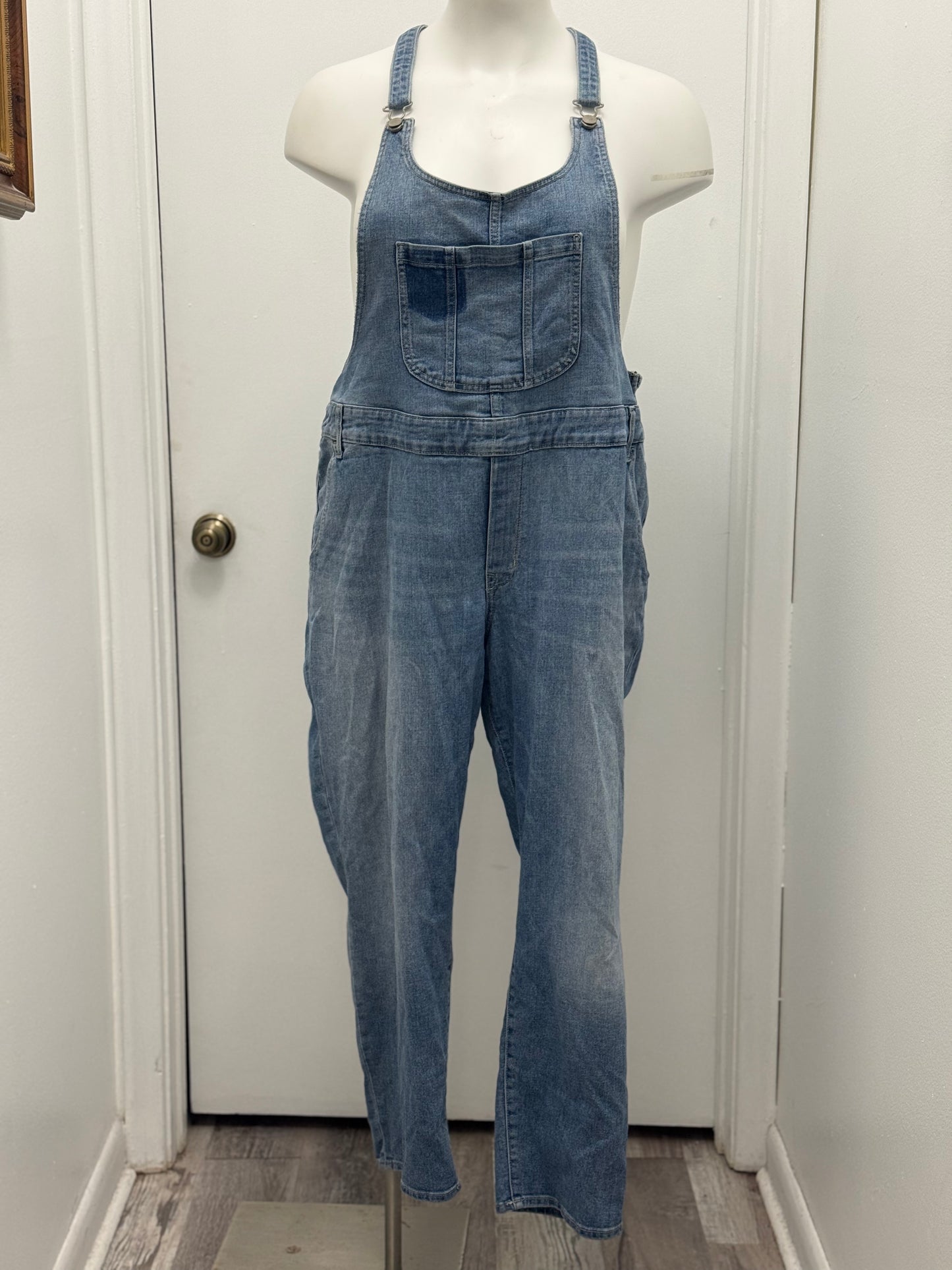 #44 Denim Overalls