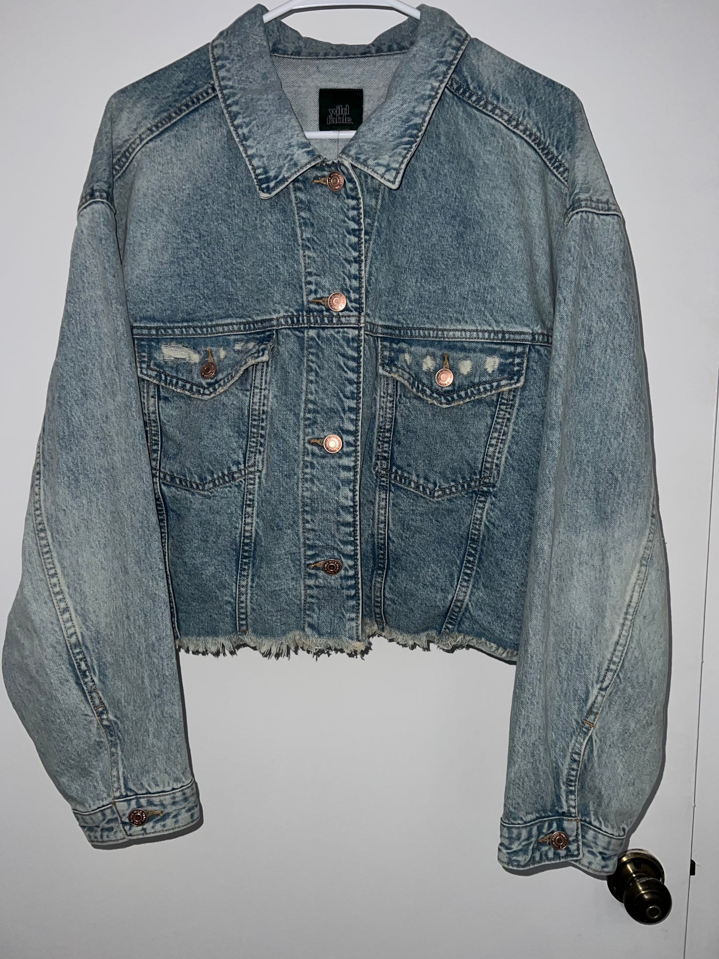 #173 Frayed Edge Denim Jacket